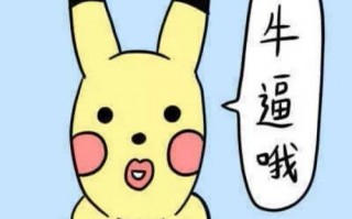 一群鸭子开会打一成语是什么，一群鸭子开会打一成语是什么成语
