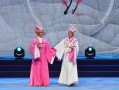 黄梅戏女驸马韩再芬电影，黄梅戏女驸马韩再芬电影在线观看